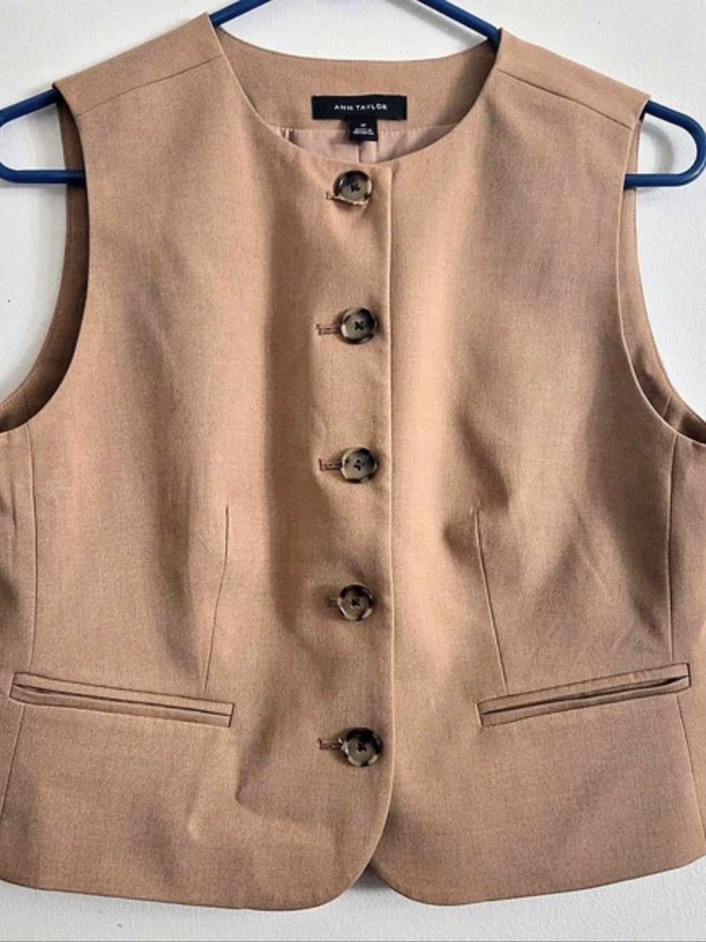 Ann Taylor Tailored Button Front Vest in Brown Size 4P